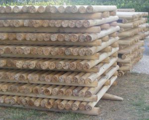 Nyárfa rönk amiből dolgozunk. Kerek keresztmetszetű.